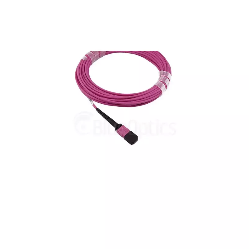 Cabo de fibra ótica InfiniBand BlueOptics SFP5252FU2MKB 2 m MPO OM4