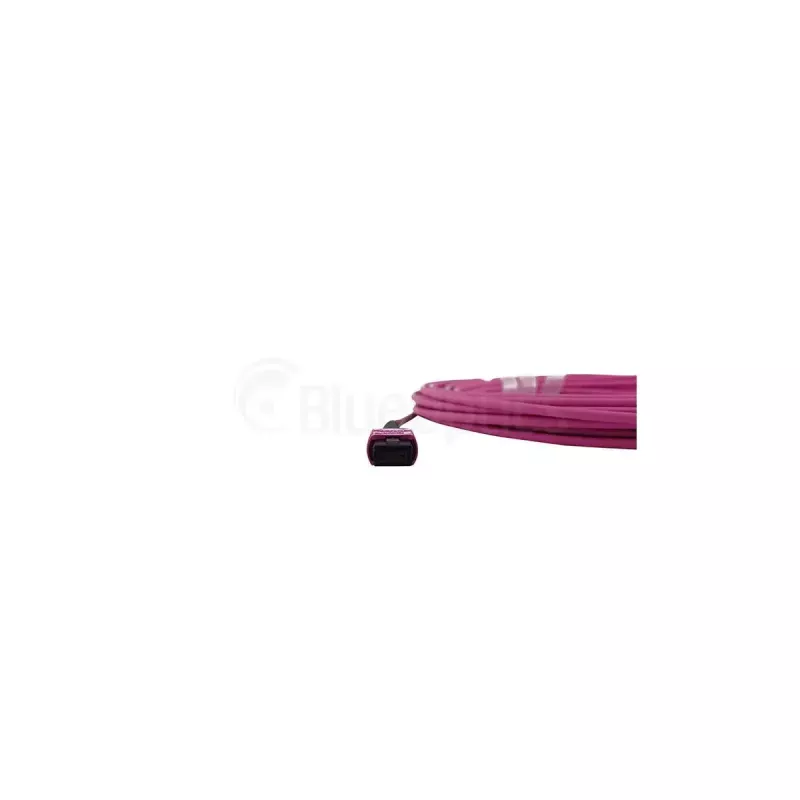 Cabo de fibra ótica BlueOptics SFP5252FU50MKB MPO OM4 50 m violeta