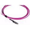 Cabo de fibra ótica BlueOptics SFP9231FU3MK MDC LC OM4 3 m magenta