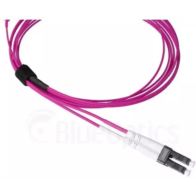 Cabo de fibra ótica BlueOptics SFP9331FU3MK SN LC OM4 3 m violeta