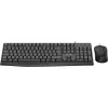 InLine Basic Desktop II, Conjunto de teclado e rato, Cabo USB, Layout DE padrão