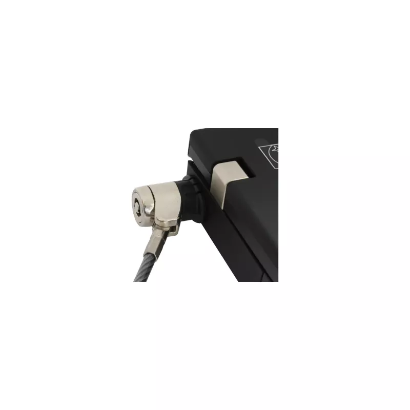Cadeado de segurança para portátil InLine com chave 4,4mm x 2m