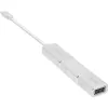 Conjunto de conversores de vídeo USB InLine 6-em-1, 4K/60Hz prateado