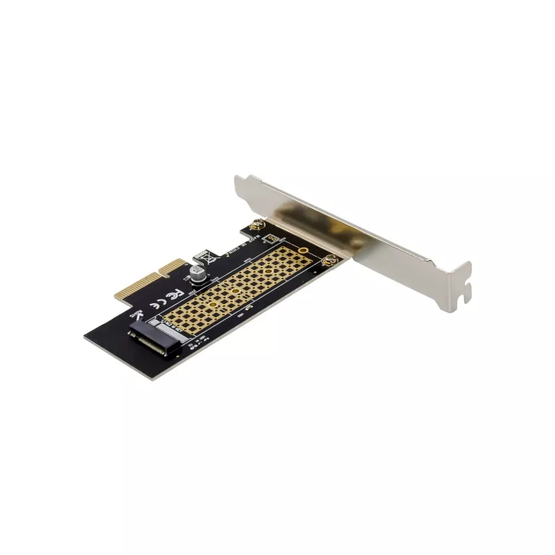 InLine 76660V Placa de interface M.2 interna PCIe 4 Gbit/s