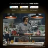 Kit de iniciação Smart LED Philips Hue White and Colour Ambience — 2× lâmpadas E27 11W, Bluetooth/Zigbee