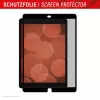 Filtro de privacidade removível de 2 vias Displex TABLET PRIVACY SAFE para iPad 10,2'' (7.ª/8.ª/9.ª ger.)
