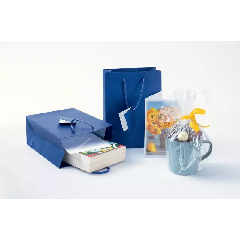 Saco de oferta Sigel GT504 Azul monocromático 170x90x230 mm