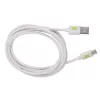 Techly ICOC MUSB20-CMAM20TW Cabo USB USB 2.0 2 m USB A USB C branco