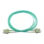 BlueOptics SFP3232EU1MK cabo de fibra ótica InfiniBand 1 m SC verde