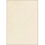 Folhas de papel artístico Sigel DP655 50 folhas bege 200 g/m²