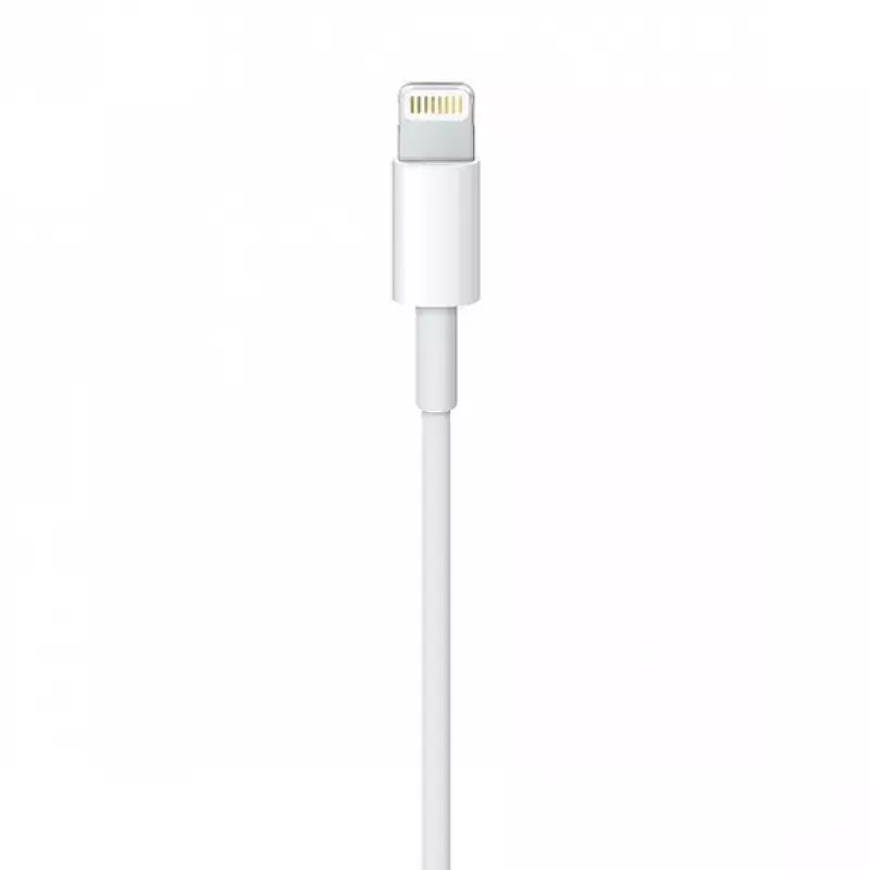 Cabo Apple MQUE2ZM 1 m branco