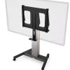 Suporte de câmara Kindermann DisplayLift 250 mm largura 800 mm altura
