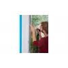 Rede mosquiteira para janelas TESA Insect Stop 55396-00020-00
