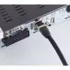 Cabo de rede ShiverPeaks BS20-60025 1m Cat6a S/FTP