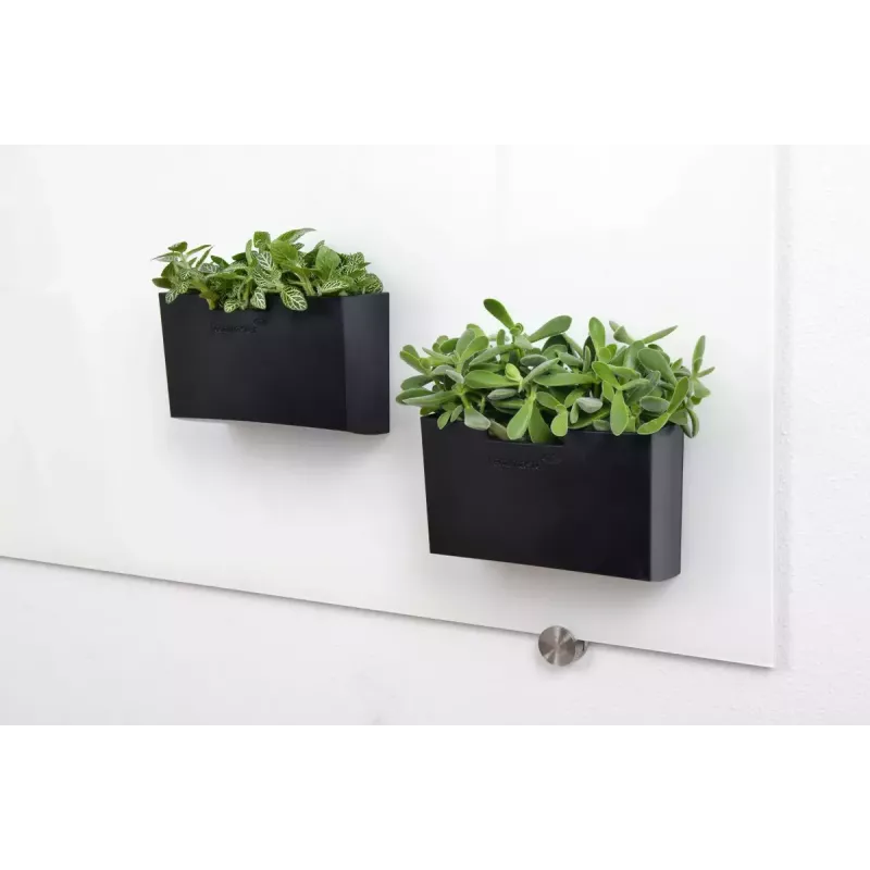 Suporte para marcadores de quadro Legamaster acessório para quadro de vidro preto