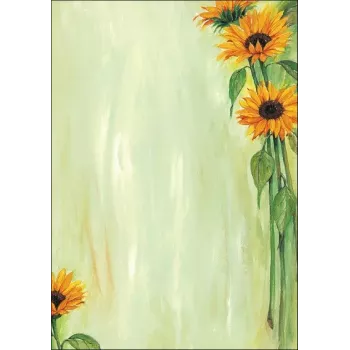 Folhas de papel artístico Sigel DP694 25 folhas
