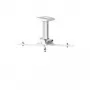 Suporte de teto Kindermann Premium MA30