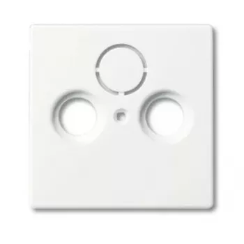 Placa de cobertura, Busch-Jaeger 1743-884, branco, design convencional, 63×63 mm