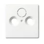 Placa de cobertura, Busch-Jaeger 1743-884, branco, design convencional, 63×63 mm