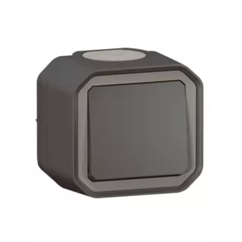 Legrand 069790L Interruptor de luz