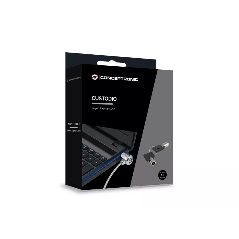 Conceptronic CNBSLOCK15 cabo de segurança prateado 1,5 m
