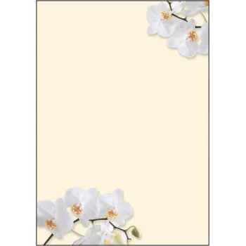 Papel de impressão artística Sigel DP904 50 folhas
