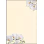 Papel de impressão artística Sigel DP904 50 folhas