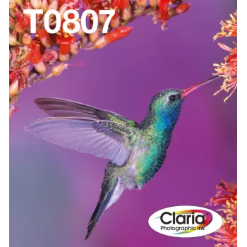 Multipack de cartuchos de tinta Epson Hummingbird T0807 — 6 cores (preto, ciano, ciano claro, magenta claro, magenta, amarelo)