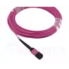 Cabo de fibra ótica BlueOptics EMC CBL-MPO12-4LC-OM4-2M MPO 4x LC 2m