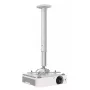 Suporte de teto Kindermann Premium 100