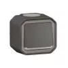 Legrand 069721L Interruptor de luz