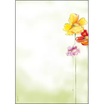 Papel sintético Sigel DP123 50 folhas