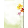 Papel sintético Sigel DP123 50 folhas