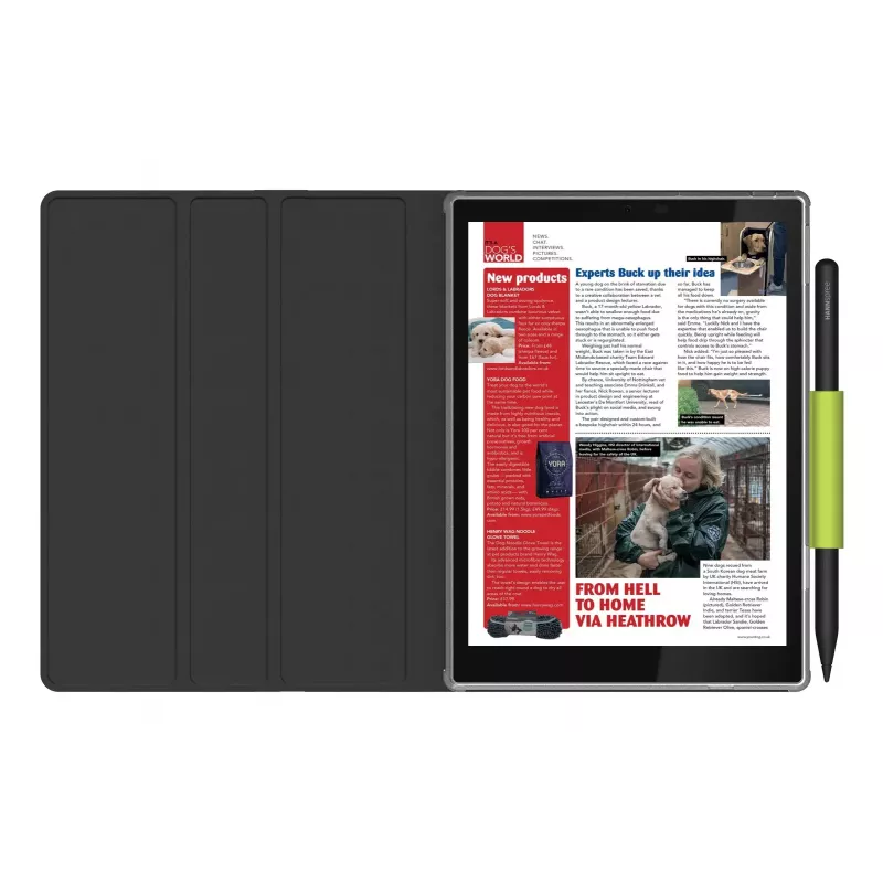 Hannspree Lumo 7.8 Reader Tablet 64 GB 19,8 cm (7,8 polegadas) Android preto