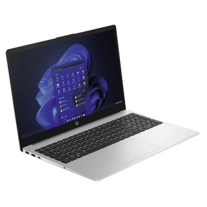 HP 250 G10 Intel® N N100 Portátil 39,6 cm (15,6 inch) Full HD 8 GB DDR4-SDRAM 256 GB SSD Wi-Fi 6 (802.11ax) Windows 11 Home Prateado