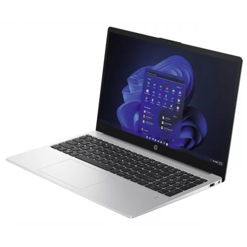 HP 250 G10 Intel® N N100 Portátil 39,6 cm (15,6 inch) Full HD 8 GB DDR4-SDRAM 256 GB SSD Wi-Fi 6 (802.11ax) Windows 11 Home Prateado