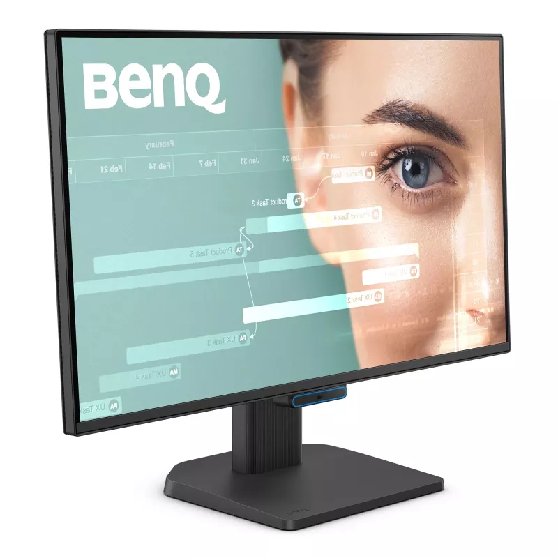 Monitor de computador BenQ GW2490C 60,5 cm (23,8 polegadas) Full HD 1920×1080 5 ms 178° VESA preto com altifalantes