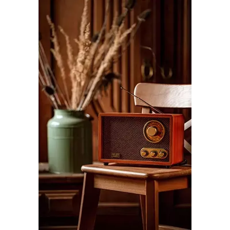 Rádio portátil Adler AD 1171 – AM/FM, 10 W RMS, Bluetooth, antena externa, bronze, 290×200×172 mm