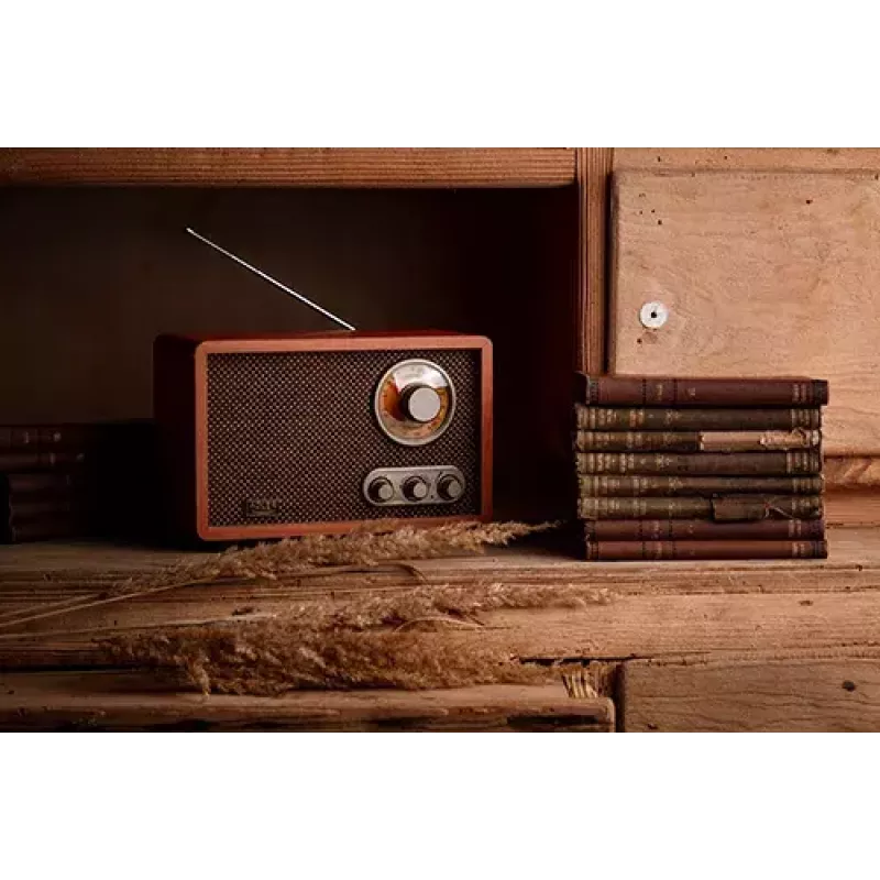 Rádio portátil Adler AD 1171 – AM/FM, 10 W RMS, Bluetooth, antena externa, bronze, 290×200×172 mm