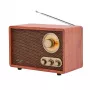 Rádio portátil Adler AD 1171 – AM/FM, 10 W RMS, Bluetooth, antena externa, bronze, 290×200×172 mm
