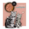 3Coty comida húmida para gatos com peru e coelho 80 g