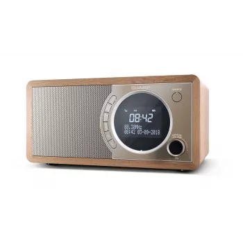 Sharp DR-450 Personal Digital castanho, aço inoxidável