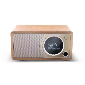 Sharp DR-450 Personal Digital castanho, aço inoxidável