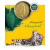 3Coty comida húmida com frango e espirulina para gatinhos e gatas lactantes 80 g