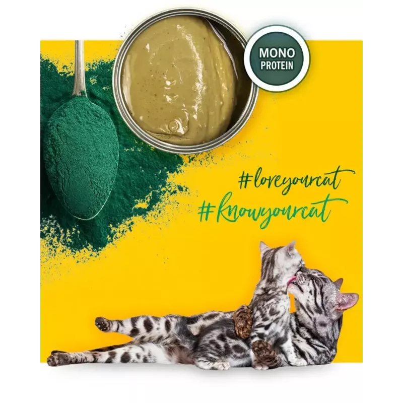3Coty comida húmida com frango e espirulina para gatinhos e gatas lactantes 80 g