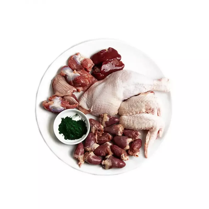 3Coty comida húmida com frango e espirulina para gatinhos e gatas lactantes 80 g