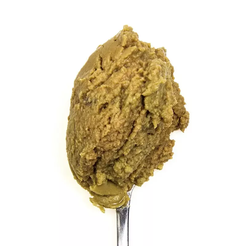 3Coty comida húmida com frango e espirulina para gatinhos e gatas lactantes 80 g