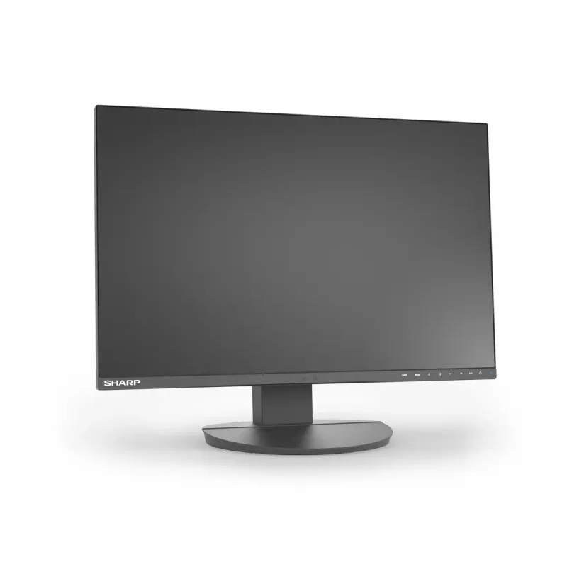 Monitor LCD Sharp MultiSync EA242W 24 polegadas IPS 1920 x 1200 16:10 5 ms hub USB 3.2 VESA altura ajustável preto