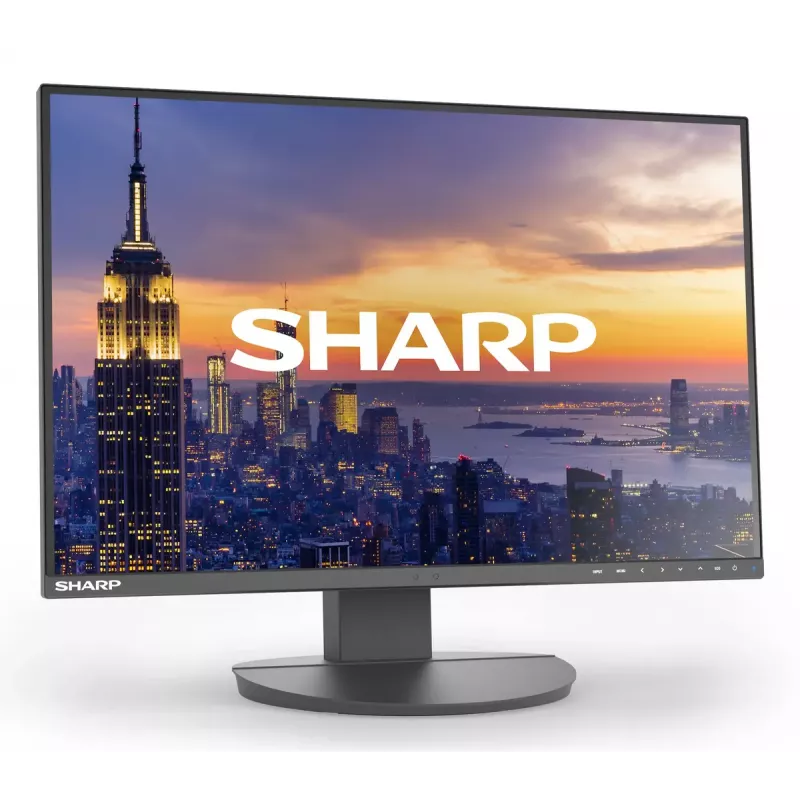 Monitor LCD Sharp MultiSync EA242W 24 polegadas IPS 1920 x 1200 16:10 5 ms hub USB 3.2 VESA altura ajustável preto