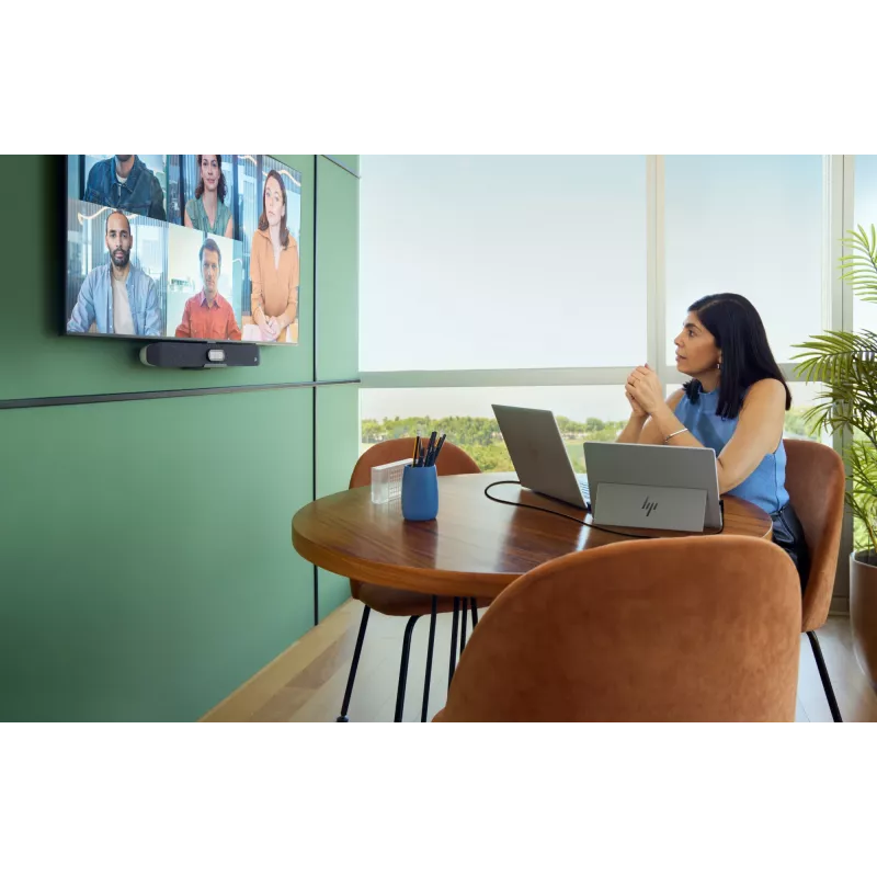 HP Series 5 Pro monitor portátil 14 polegadas WQXGA - 514pn